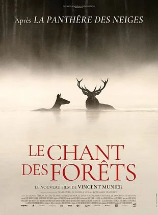 Affiche Le Chant des forêts