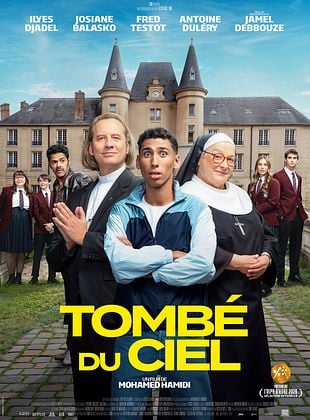 Affiche du film Tombé du ciel